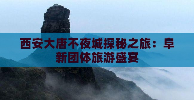 西安大唐不夜城探秘之旅：阜新团体旅游盛宴