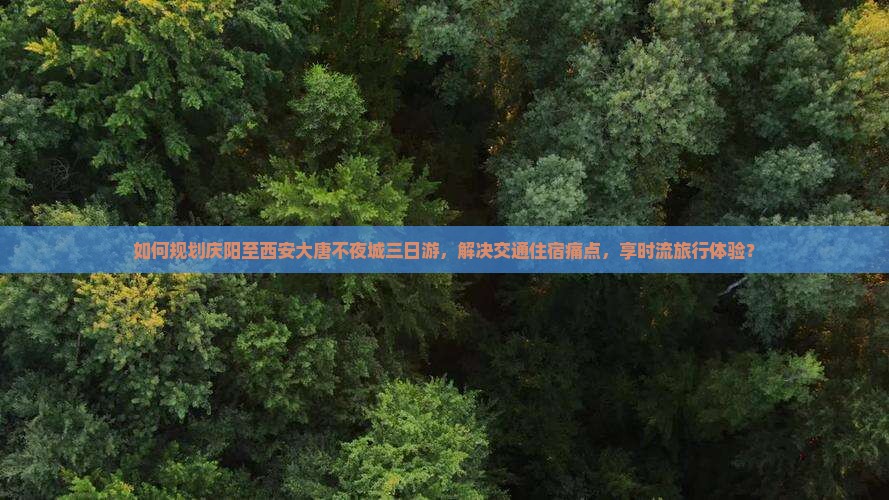 如何规划庆阳至西安大唐不夜城三日游，解决交通住宿痛点，享时流旅行体验？