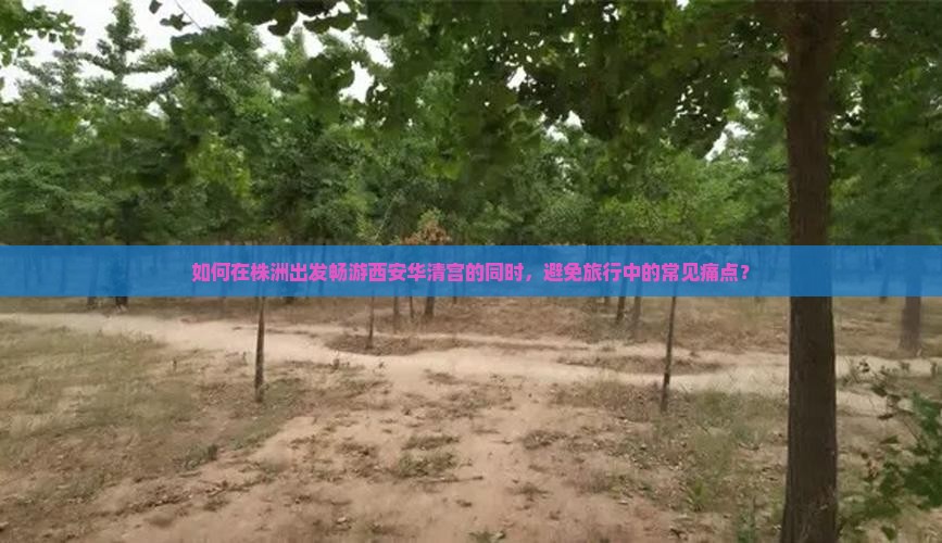 如何在株洲出发畅游西安华清宫的同时，避免旅行中的常见痛点？