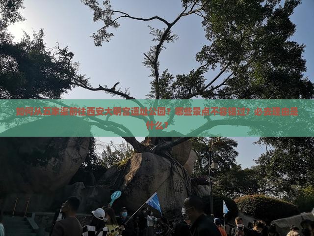 如何从五家渠前往西安大明宫遗址公园？哪些景点不容错过？必去理由是什么？