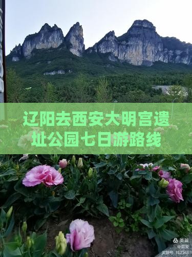 辽阳去西安大明宫遗址公园七日游路线