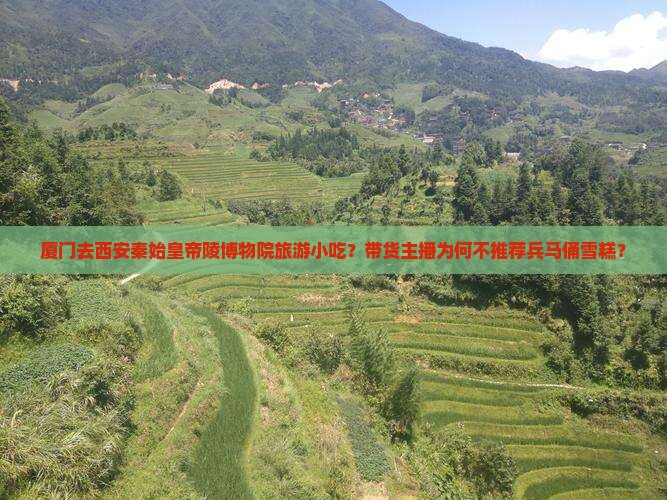 厦门去西安秦始皇帝陵博物院旅游小吃？带货主播为何不推荐兵马俑雪糕？