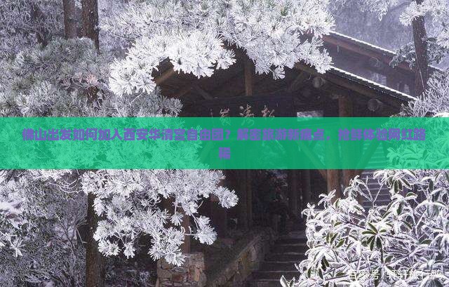 佛山出发如何加入西安华清宫自由团？解密旅游新痛点，抢鲜体验网红路稀