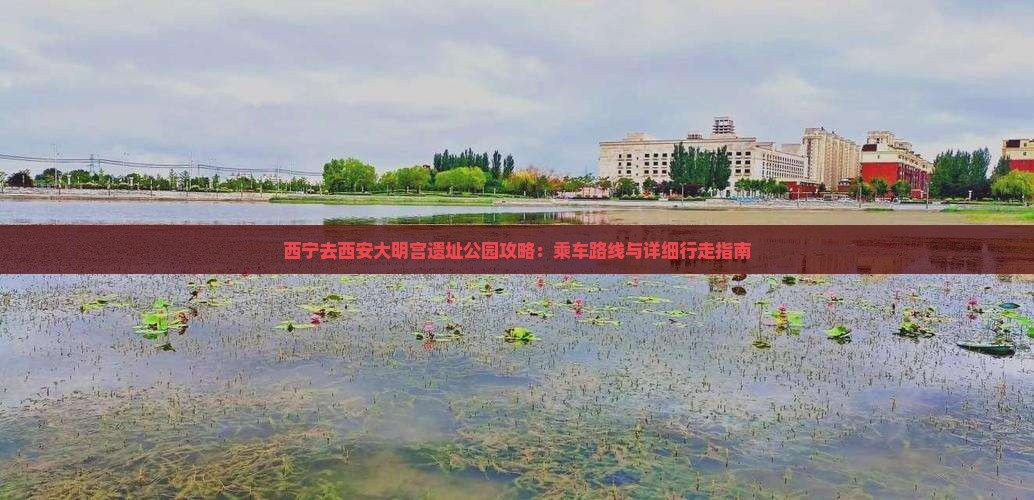西宁去西安大明宫遗址公园攻略：乘车路线与详细行走指南