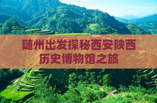 随州出发探秘西安陕西历史博物馆之旅