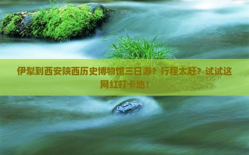 伊犁到西安陕西历史博物馆三日游？行程太赶？试试这网红打卡地！