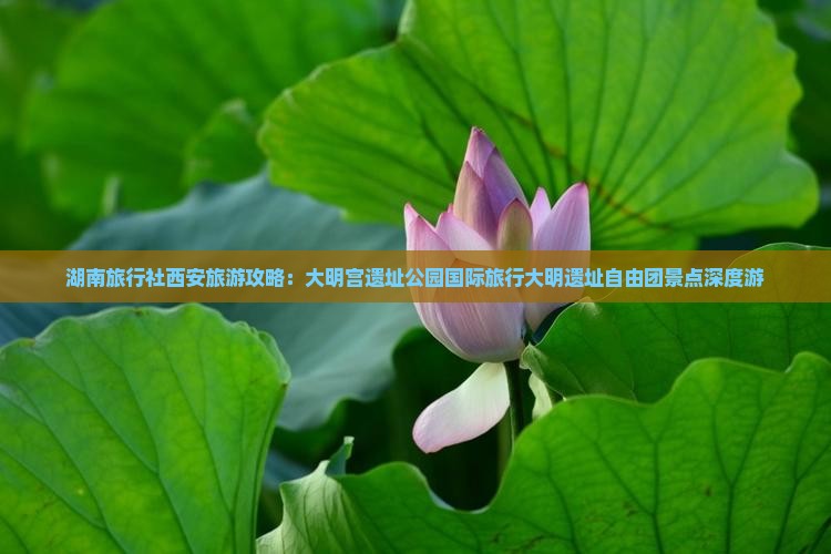 湖南旅行社西安旅游攻略：大明宫遗址公园国际旅行大明遗址自由团景点深度游