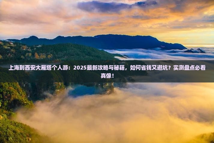 上海到西安大雁塔个人游