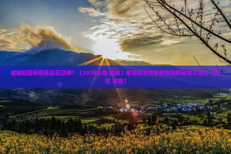 诸城到西安回民街五日游