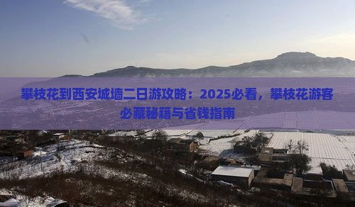 攀枝花到西安城墙二日游