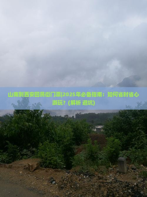 山南到西安回民街门票