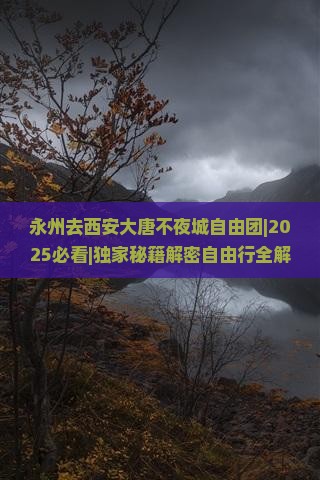 永州去西安大唐不夜城自由团