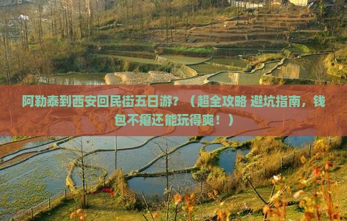 阿勒泰到西安回民街五日游 阿勒泰到西安回民街五日游