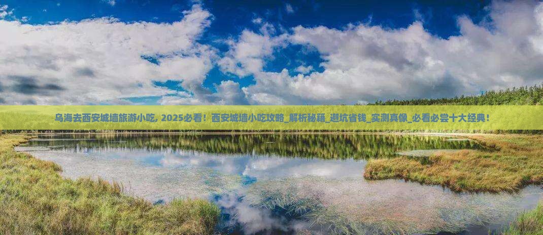 乌海去西安城墙旅游小吃