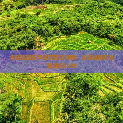 塔城到西安华清宫旅行社