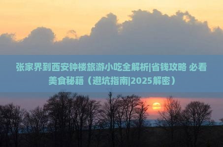 张家界到西安钟楼旅游小吃