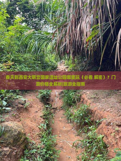 春天到西安大明宫国家遗址公园哪里玩