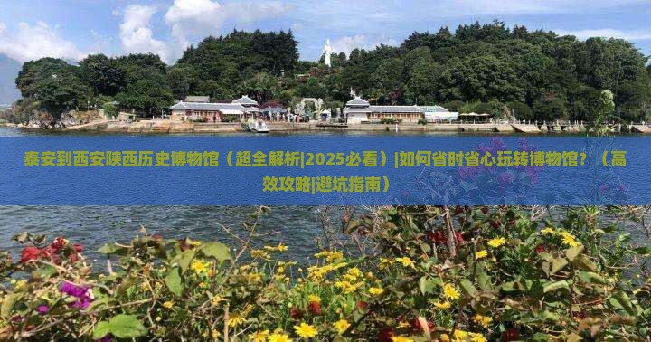 泰安到西安陕西历史博物馆攻略