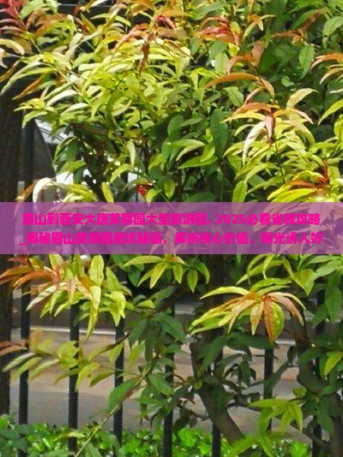 眉山到西安大唐芙蓉园大型旅游团