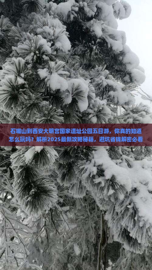 石嘴山到西安大明宫国家遗址公园五日游