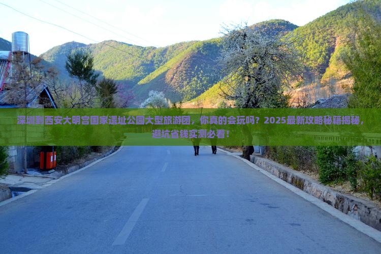 深圳到西安大明宫国家遗址公园大型旅游团 深圳到西安大明宫国家遗址公园大型旅游团