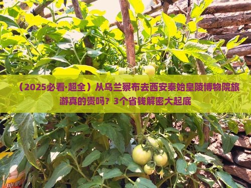 乌兰察布到西安秦始皇帝陵博物院旅游