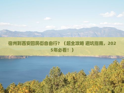 宿州去西安回民街自由行