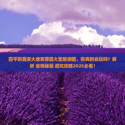四平到西安大唐芙蓉园大型旅游团