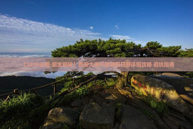 四平去西安大唐不夜城四日游