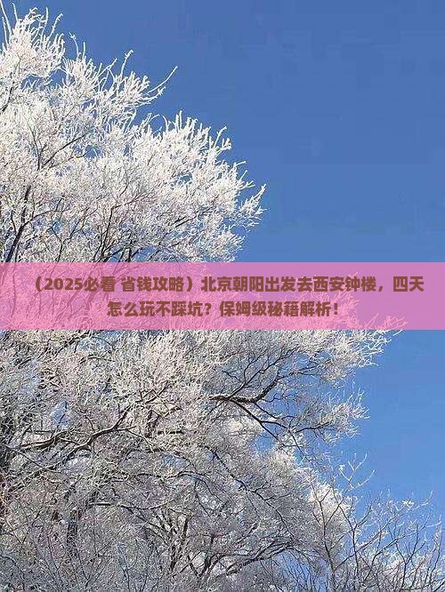 朝阳到西安钟楼四日游