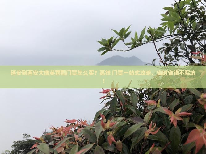 延安到西安大唐芙蓉园门票