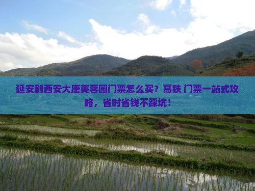 延安到西安大唐芙蓉园门票