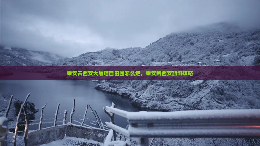 泰安去西安大雁塔自由团