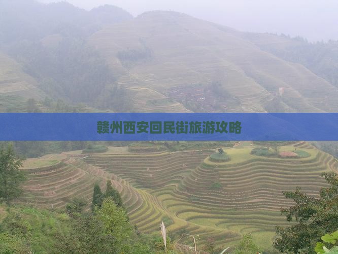 赣州去西安回民街景点