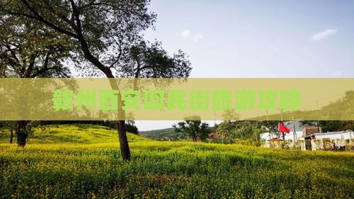 赣州去西安回民街景点