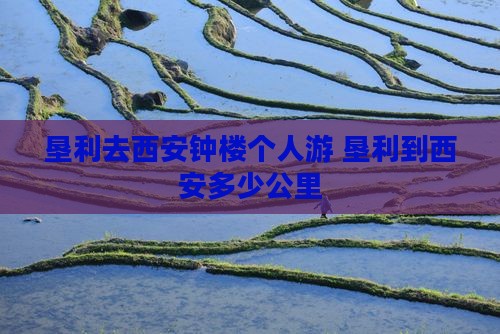 垦利去西安钟楼个人游