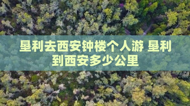 垦利去西安钟楼个人游