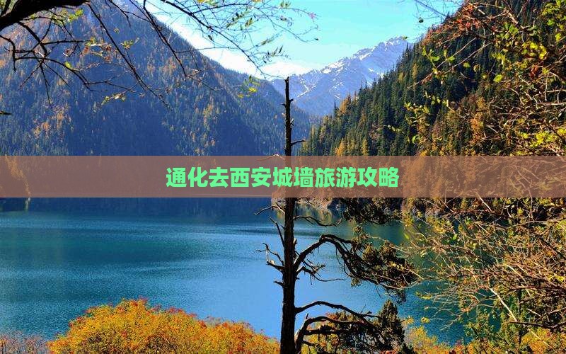 通化去西安城墙自由行