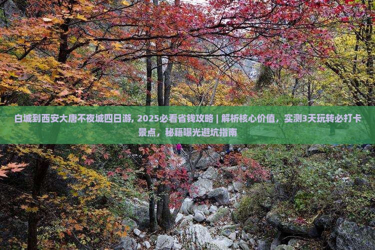 白城到西安大唐不夜城四日游