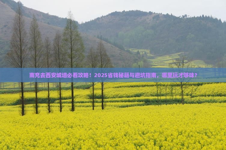 南充去西安城墙哪里玩