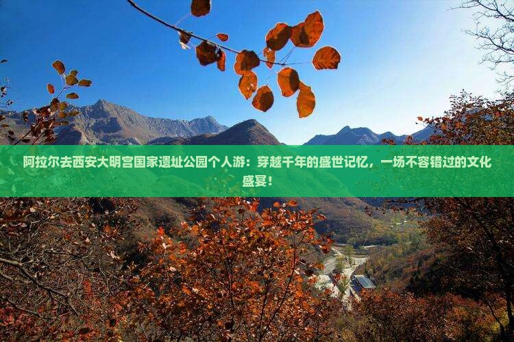 阿拉尔去西安大明宫国家遗址公园个人游