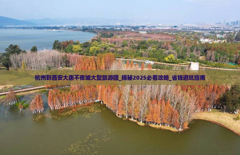 杭州到西安大唐不夜城大型旅游团 杭州到西安大唐不夜城大型旅游团