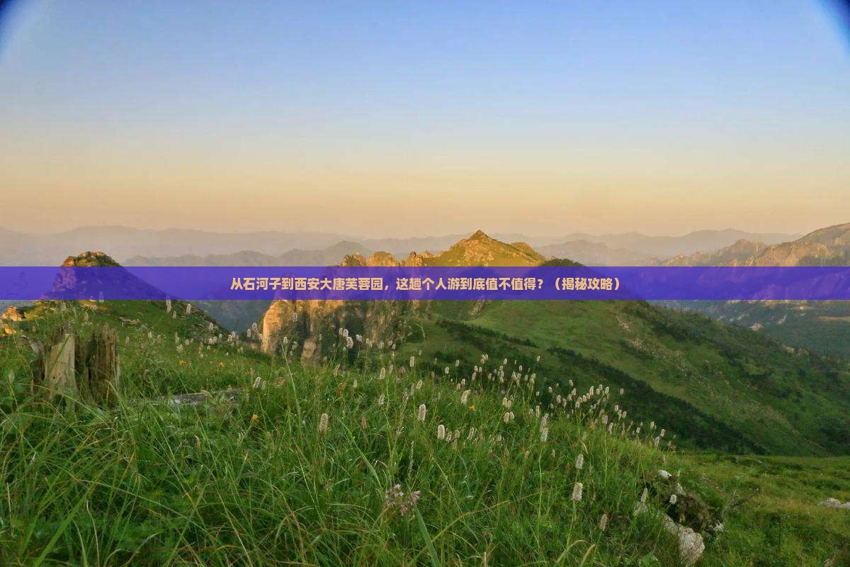 石河子到西安大唐芙蓉园个人游