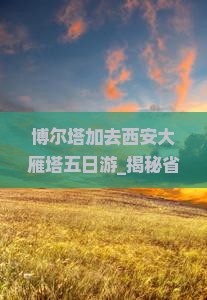 博尔塔拉去西安大雁塔五日游