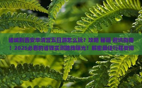 诸城到西安华清宫五日游