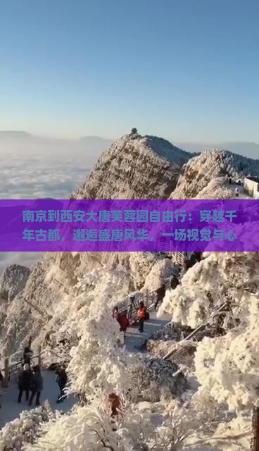 南京到西安大唐芙蓉园自由行