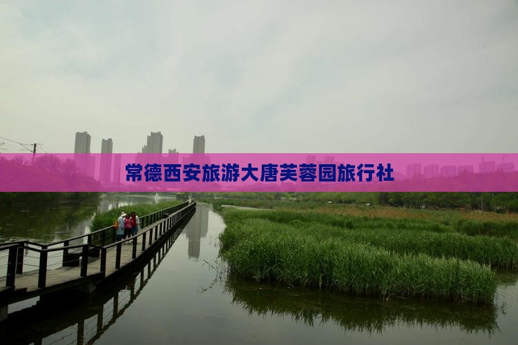 常德去西安大唐芙蓉园旅行社