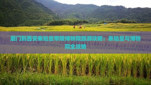 厦门到西安秦始皇帝陵博物院门票
