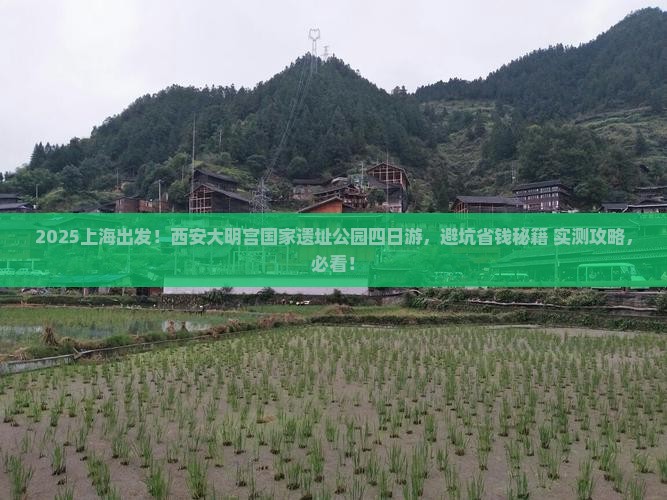 上海去西安大明宫国家遗址公园四日游