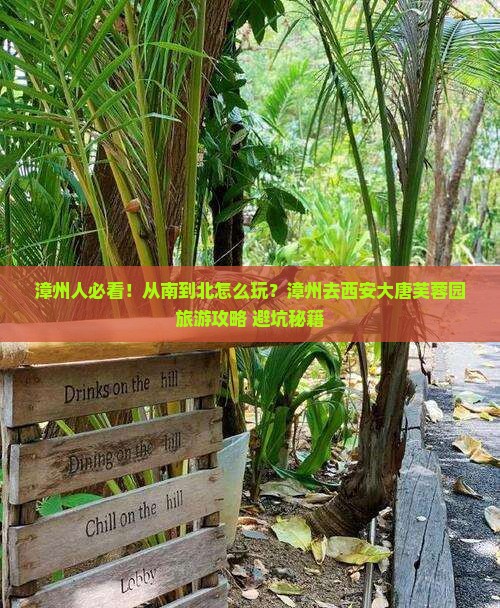 漳州去西安大唐芙蓉园旅游